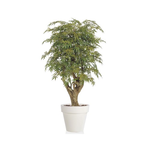 Planta semi-artificiala Ila, Maple Malabar Multicolor - 180 cm